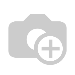 联塑电线ZCBV4.0^阻燃电线 双色 100米