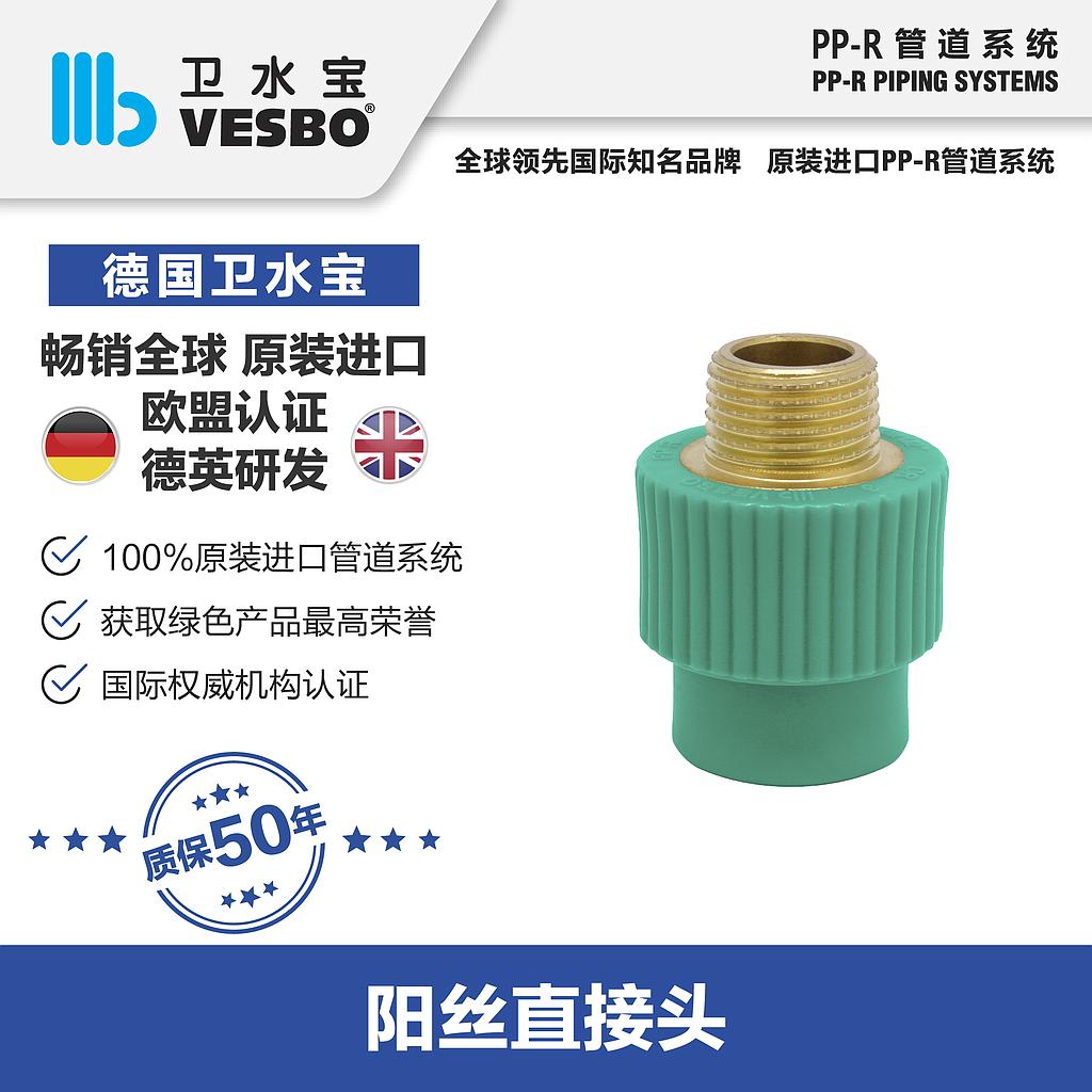 卫水宝 外丝直接20*3/4